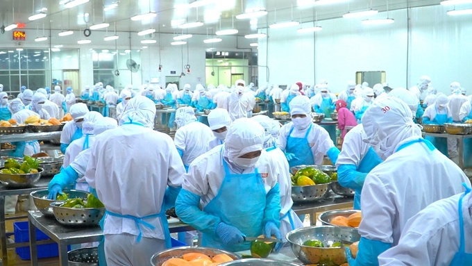 anh-3-142718_122.jpg Các vườn cây ăn trái là nhân tố thúc đẩy sự phát triển của ngành công nghiệp chế biến, bảo quản, xuất khẩu. Ảnh: Kim Anh.