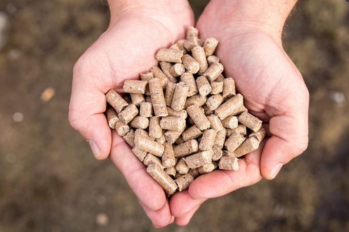 feeds-pellet-1-2048x1365-210356_341.jpg Formic Acid đang được sử dụng trong thức ăn chăn nuôi, thức ăn thủy sản với nhiều mục đích và công dụng khác nhau. Ảnh minh họa: Lưu Hiền.