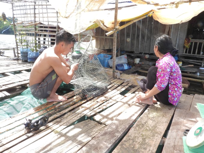 Bà Thị Nùng, vợ ông Điểu Nê cùng cậu con trai út xuống bè vớt 2 con cá lăng đã có thể xuất bán lên cho chúng tôi xem. Ảnh: Minh Sáng.