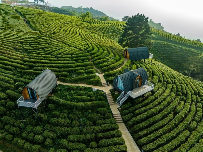 439985125_952787153513038_7414541740198945703_n-150656_535.jpg Những đồi chè bạt ngàn ở Phja Đén (huyện Nguyên Bình). Ảnh: Kolia Cao Bằng.