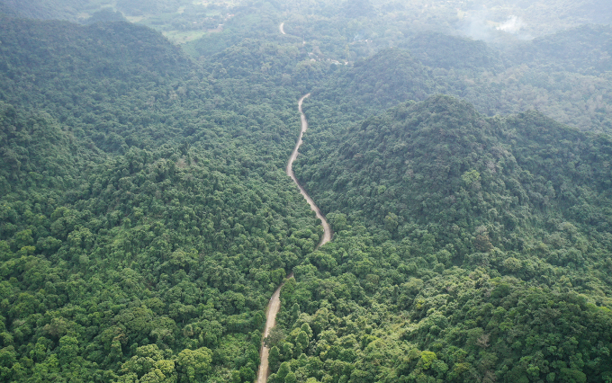 The main road leads to the centre of Cuc Phuong National Park. Photo: Ngoc Thanh.