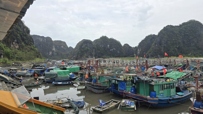 z5809089533977_cf65288a00089365f41a31b036d7c02b-125908_700.jpg Mỗi khi tàu, thuyền muốn cập cảng phải chờ nước lên may ra mới vào được, chứ ngày nước rút chỉ còn cách đỗ thuyền phía ngoài luồng lạch chờ nước lên. Ảnh: Cường Vũ.