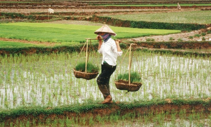 While women have traditionally been involved in production, there has been a notable shift, with more women now participating in marketing and other stages beyond the farm. Photo: Mekong Institute.