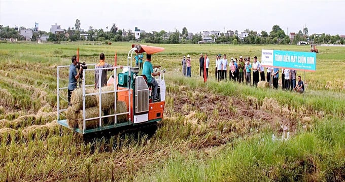 Thai Binh is the second largest rice production province in the Red River Delta, with annual planted area of 150,000 ha.