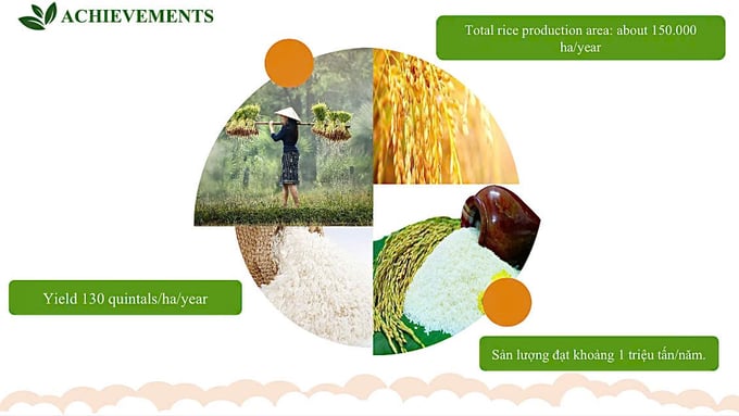 Thai Binh has always paid attention to technical advances, invested in irrigation and drainage infrastructure and upgraded on-farm transport system.