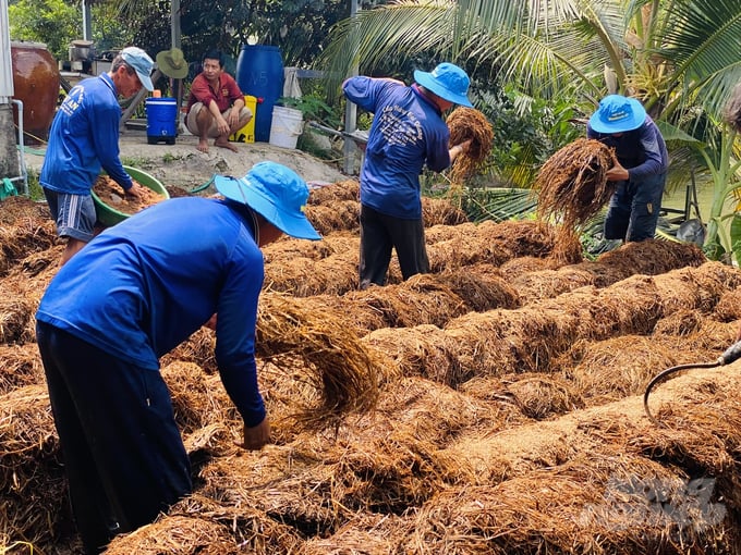 anh-2-055343_622-055343.jpg Nông dân tận dụng phụ phẩm từ rơm để làm nấm rơm gia tăng thu nhập. Ảnh: Lê Hoàng Vũ.