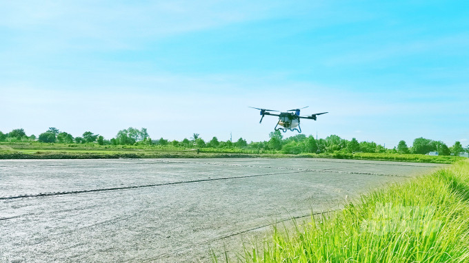 Vietnam has progressed to the point where seeds are applied via drones, rather than by hand or tractor. Photo: VAAS.