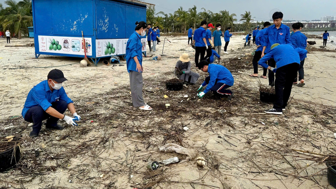 z5830645287784_2a57e98bac743f2915a74b15fb6cdf41-185522_950.jpg Hơn 1 vạn đoàn viên, thanh niên đã tham gia thu gom rác thải, làm sạch bãi biển. Ảnh: Thanh Phương.