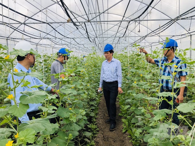 4b1dd5a2ed5710094946-164608_346-164609.jpg Các doanh nghiệp đầu tư trang trại trồng dưa lưới trong nhà kính tại trên địa bàn tỉnh Đồng Nai. Ảnh: Minh Sáng.