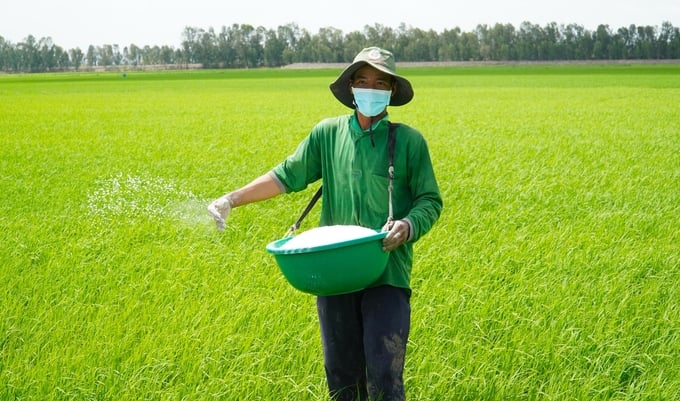 bai-1-ap-luc-dich-hai-gia-tang-chi-phi-tren-canh-dong-lua-3-vu-145140_552.jpg Dịch hại phát sinh nhiều khiến bà con nông dân gia tăng lượng phân bón, thuốc bảo vệ thực vật. Ảnh: Kim Anh.