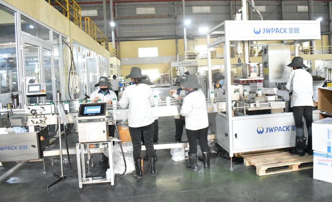 mac-ao-giap-daconil-cho-cay-trong-083707_617.jpg Việt Thắng Group sang chiết, đóng góp bao bì sản phẩm theo quy trình, công nghệ, thiết bị của Nhật Bản. Ảnh: Minh Đảm.