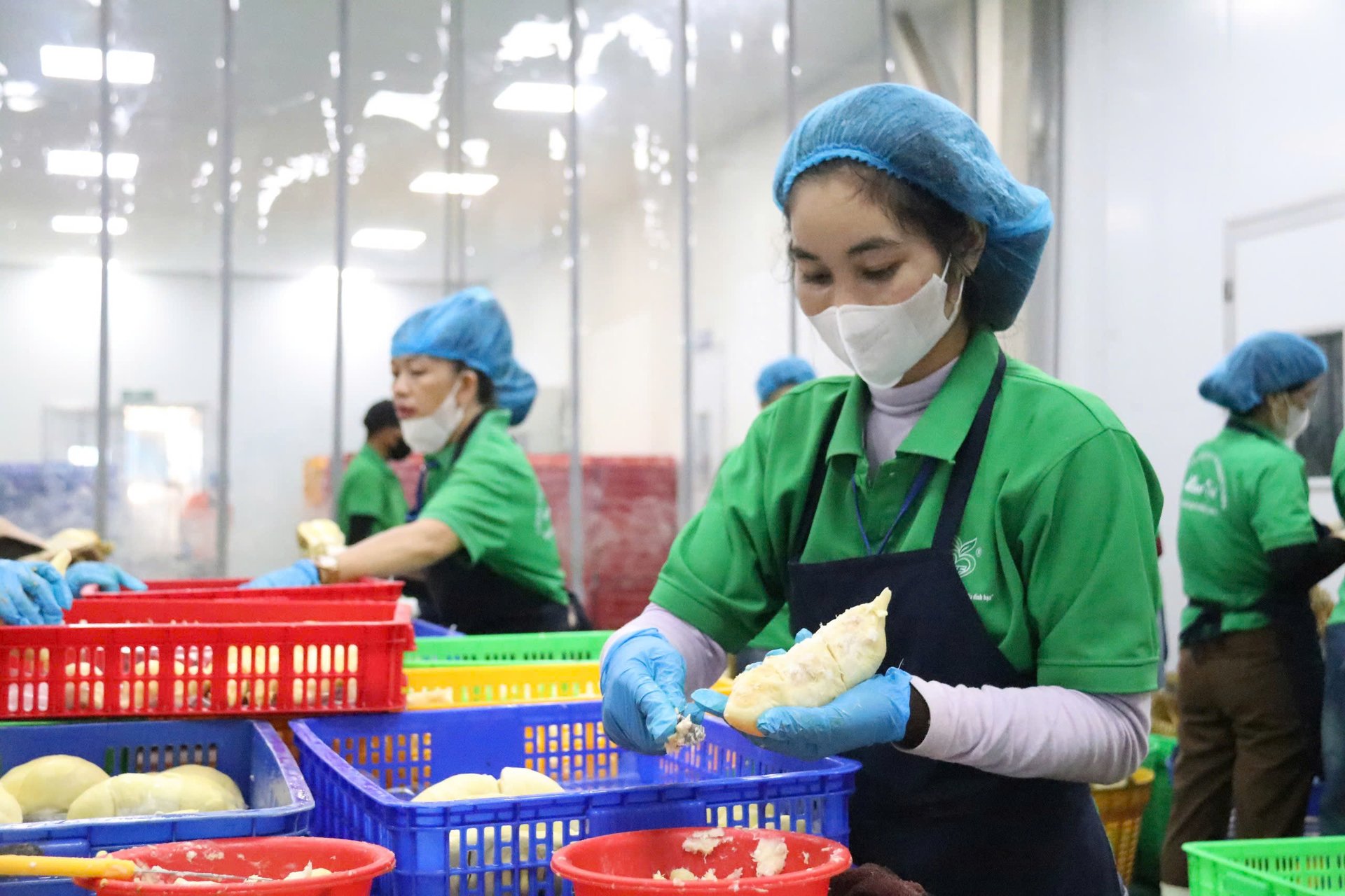 Xuất khẩu rau quả 3 tháng đầu năm giảm 13,2% so với cùng kỳ. Xuất khẩu rau quả 3 tháng đầu năm giảm 13,2% so với cùng kỳ.