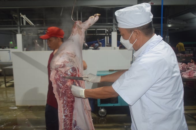 4-164554_805.jpg Cán bộ thú y đảm nhận công việc kiểm soát giết mổ tại Nhà máy giết mổ động vật tập trung An Nhơn phải làm việc suốt đêm. Ảnh: V.Đ.T.