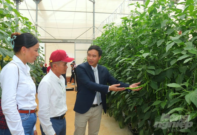 z5854625793109_0b0f544722d8f1e84afb8d7fd411ef25-161723_147-161724.jpg Ông Đặng Văn Niên, Tổng Giám đốc Rijk Zwaan Việt Nam (phải) cho biết, Rijk Zwaan luôn chia sẻ kiến thức chuyên môn và những cải tiến của mình. Ảnh: PC.