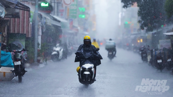 mua-giong-se-gia-tang-trong-tuan-cuoi-thang-9-o-tphcm-va-nam-bo-133817_361-133817.jpg Tổng lượng mưa trong cuối tháng 9 có thể cao hơn mức trung bình nhiều năm, phổ biến từ 70 - 180mm. Ảnh: Trần Phi.