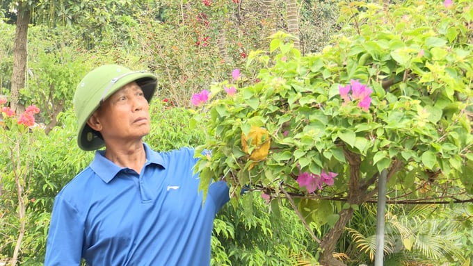 z5861659781242_9e1494928abe93242d5c9fef1a095af2-103527_819-103527.jpg Hiện nay, nhiều người trồng hoa ở huyện Văn Giang (Hưng Yên) đã đạt được mức thu nhập từ 1 đến 1,5 tỷ/ha. Ảnh: Duy Học.