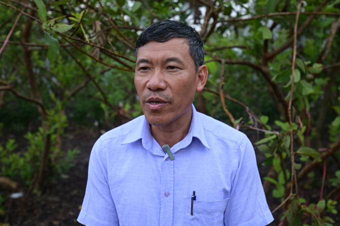 hai-duong-57-151022_706.jpg Ông Đặng Văn Tăng, Phó Chủ tịch UBND xã Liên Mạc nói về thiệt hại của cây ổi tại địa phương sau bão số 3. Ảnh: Tùng Đinh.