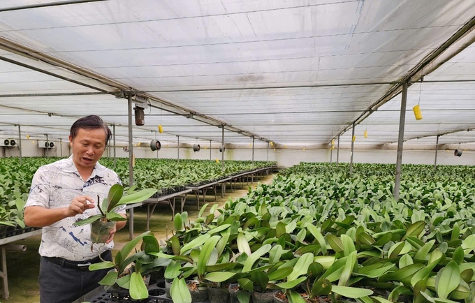 z5863717504524_f70358afbc603a6563c0345df3113959-212204_873.jpg PGS.TS Đặng Văn Đông - Viện Phó Viện Nghiên cứu Rau quả bên trong một nhà lan công nghệ cao của Viện. Ảnh: Dương Đình Tường.