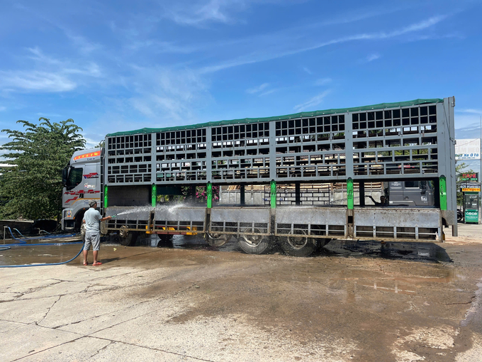 1-214755_817.jpg Nước thải từ hoạt động rửa xe, tắm heo ở các cơ sở không được xử lý mà để chảy lênh láng khắp nơi. Ảnh: L.K.