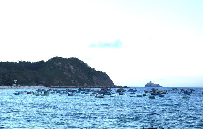 1-130243_264.jpg Hiện toàn đảo Cù Lao Xanh còn 73 phương tiện đánh bắt hải sản, chủ yếu làm các nghề mành mực, lưới rút và lưới cao. Ảnh: V.Đ.T.