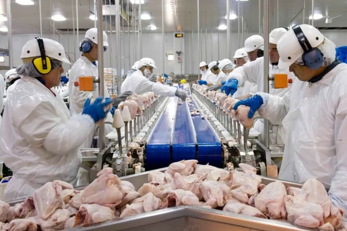 'The average price was strongly influenced by the growth in shipments to high value-added markets, such as Japan,' said ABPA president Ricardo Santin. Photo: ASGAV.