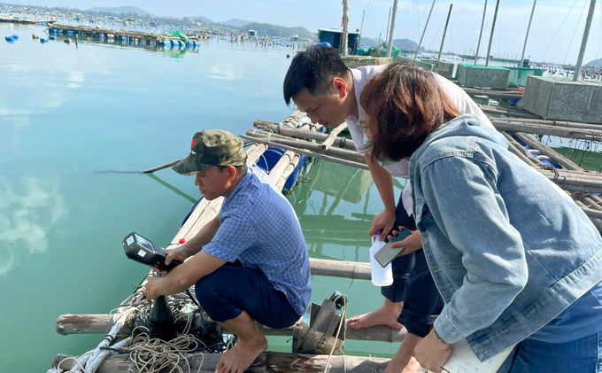 The staff at the Central Region Center for Aquatic Environment Monitoring and Disease Control conducting environmental monitoring at a lobster farming area in the South Central region. Photo: KS.