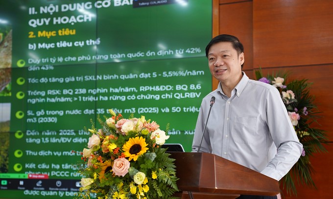 Director Tran Quang Bao: 'Localities increasingly pay attention to forestry.' Photo: Bao Thang.