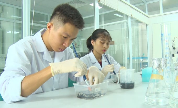 The research was conducted meticulously and with great attention to detail. Photo: Dinh Muoi.
