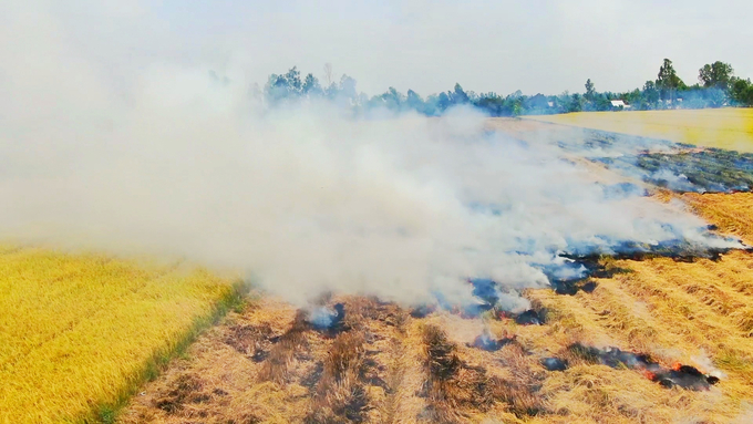 Due to limited knowledge of straw management and a lack of appropriate technology, farmers in countries participating in the CABIN project mainly choose the straw burning method. Photo: Kim Anh.