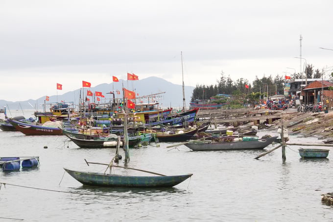 Numerous fishing vessels in Quang Nam Province are still categorized as '3 no'. Photo: L.K.