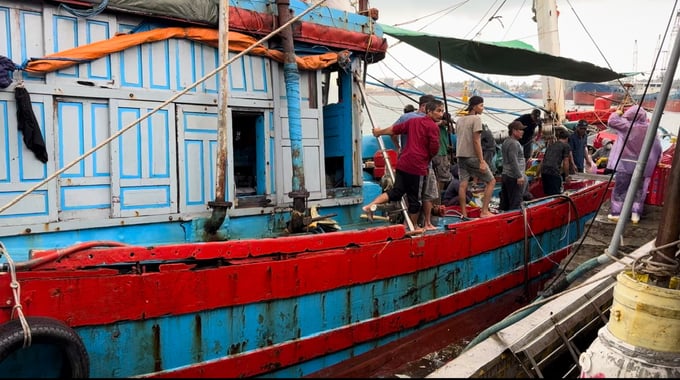Quang Nam Province has instructed local governments and relevant authorities to implement various solutions with the aim of eliminating '3 no' fishing vessels. Photo: L.K.