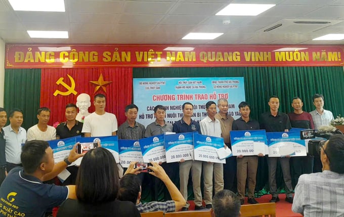 cuc-thuy-san-tiep-tuc-ho-tro-nguoi-nuoi-trong-thuy-san-hai-phong-hai-duong-195450_612.jpg Đại diện Cục Thủy sản, Hội Thủy sản Việt Nam, Chi cục Thủy sản Hải Phòng và các doanh nghiệp trao hỗ trợ cho các hộ dân. Ảnh: CTV.