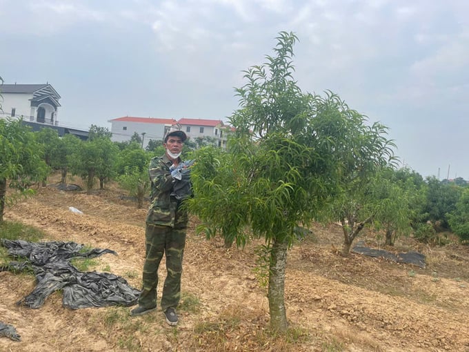 Đối tượng Nguyễn Việt Đức bị bắt giữ. Ảnh: IT.
