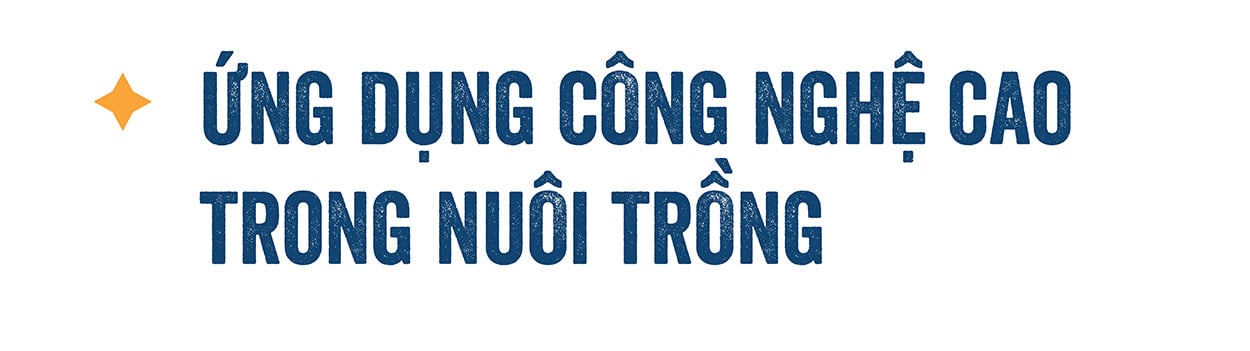 ba-tru-cot-cua-nganh-thuy-san-054852_267.jpg
