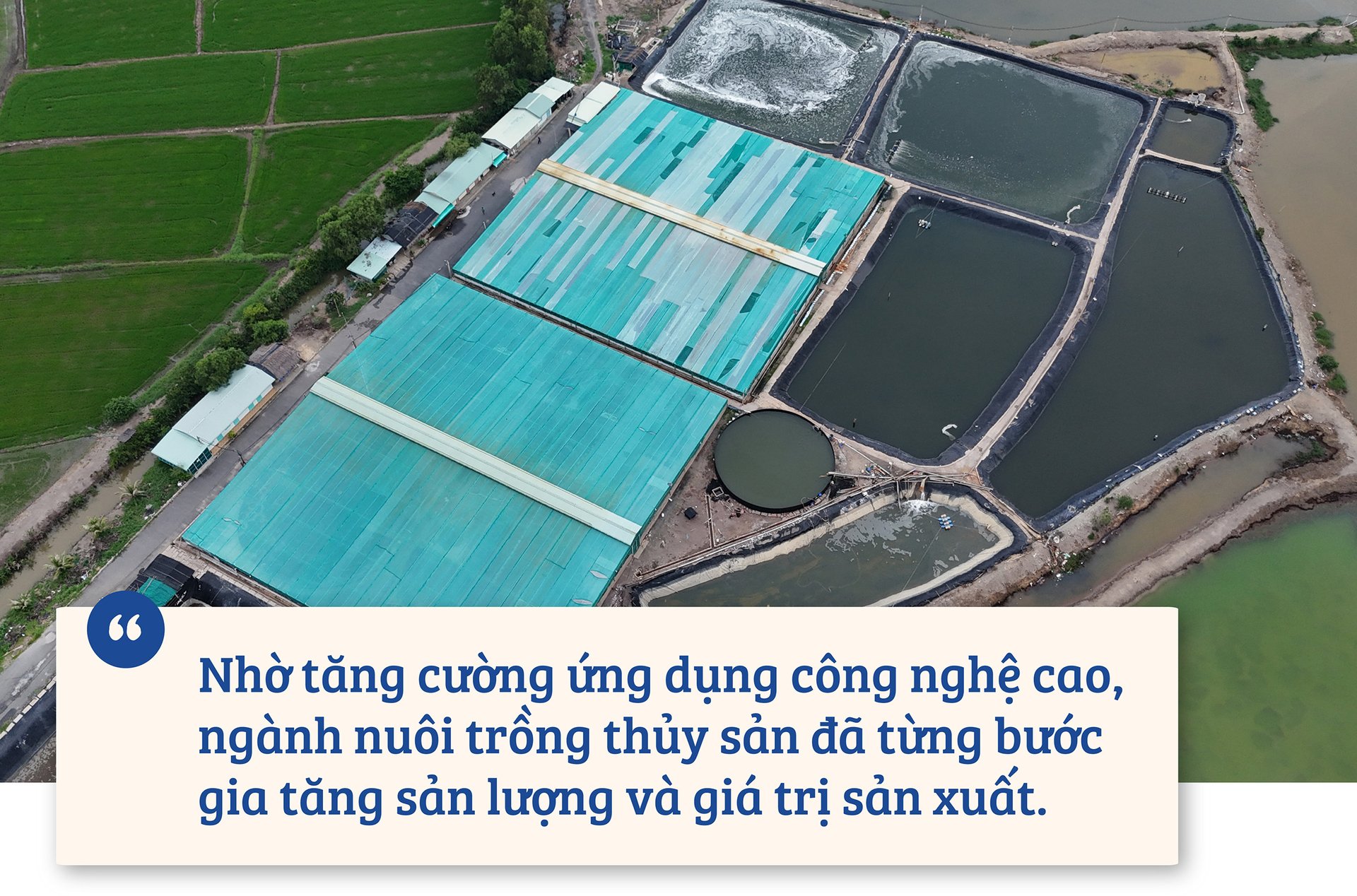 ba-tru-cot-cua-nganh-thuy-san-055320_802.jpg