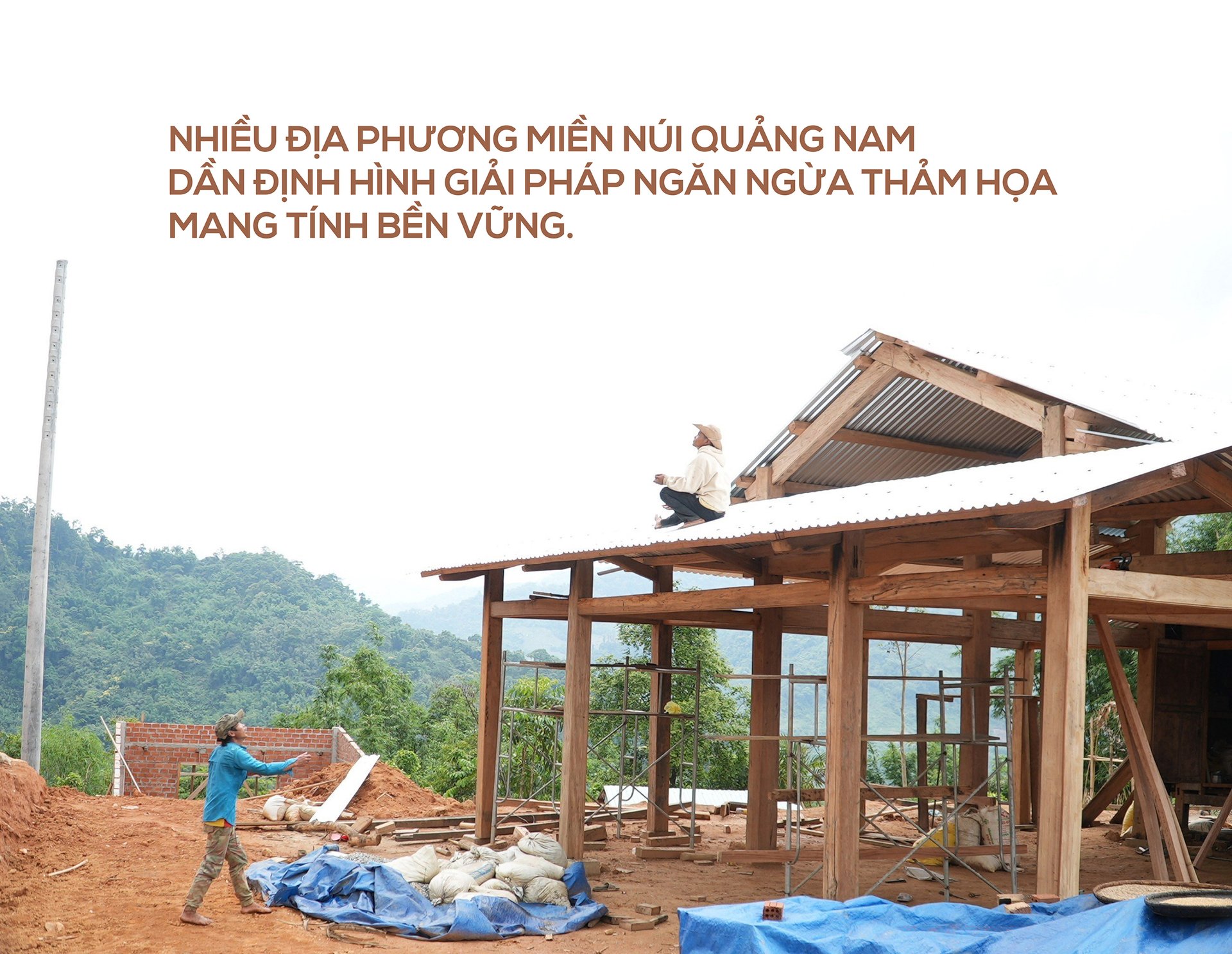 canh-canh-noi-lo-hoa-nui-de-mua-mua-bao-043109_519.jpg