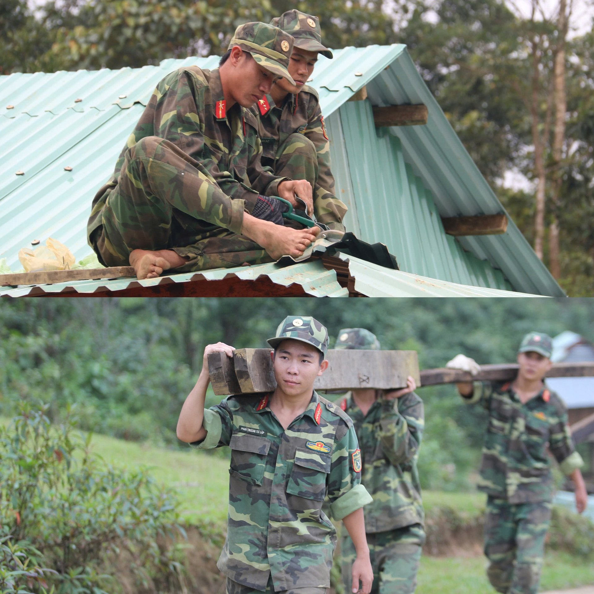 canh-canh-noi-lo-hoa-nui-de-mua-mua-bao-043412_714.jpg
