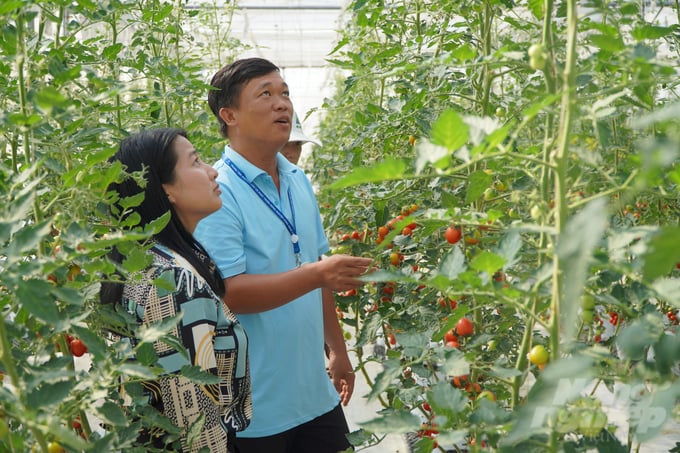 dsc03898-213454_12-213457.jpg Ứng dụng công nghệ cao, số hóa trong quản lý sản xuất nông nghiệp ngày càng nở rộ tại nước ta. Ảnh: Nguyễn Thủy.