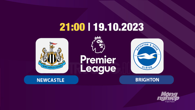 nhan-dinh-truc-tiep-newcastle-vs-brighton-hom-nay-21h-19-10-1-124421_853.jpg Trực tiếp Newcastle vs Brighton, Ngoại hạng Anh, 21h hôm nay 19/10, K+ SPORT 2