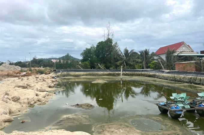 1-161300_551.jpg Ao nuôi thủy sản của ông Huỳnh Trung Phi bị san ủi khiến cá trong ao chết nổi trắng mặt nước. Ảnh: V.Đ.T.