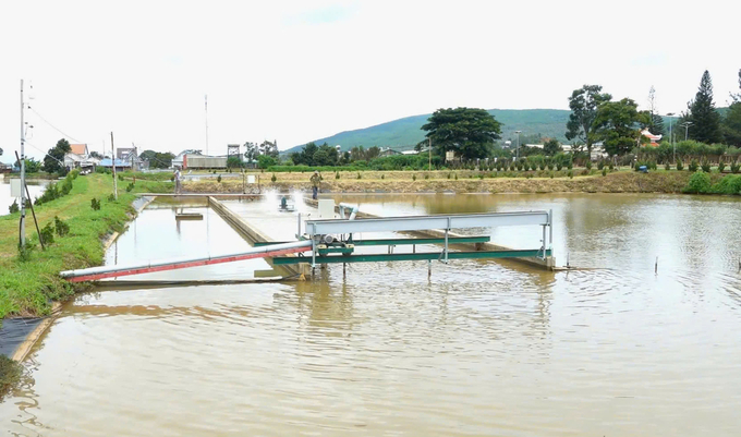 z5939429359789_2999643d57f7756ed0bee39d5703fb90-154825_921.jpg Hệ thống nuôi cá tầm 'sông trong ao' giúp thức ăn dư thừa và các chất thải của cá được tách khỏi hệ thống nuôi, từ đó tránh ô nhiễm hữu cơ. Ảnh: PC.