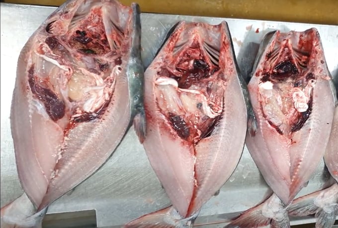 Whole catfish being butterfly filleted at a factory in the Mekong Delta. Photo: Son Trang.