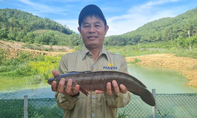 z5903531116074_a10f476717c1d7c014cf27800bd7abd7-041825_226.jpg Ông Lê Công Chất bên hồ hởi với thành quả ngọt ngào. Ảnh: Việt Khánh.