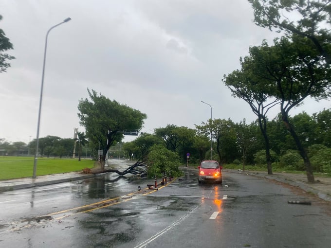 z5971490992766_f4fc538a3fefa63c7659071e2ed1e333-100615_302.jpg Một số cây xanh trên các tuyến đường lớn ở TP Đà Nẵng bị gãy đổ. Ảnh: TV.