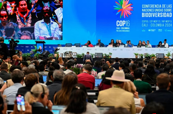 The opening ceremony of the COP16 summit on October 21.