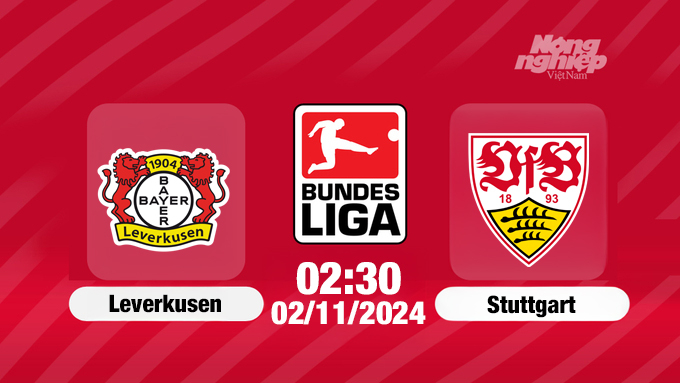 nhan-dinh-truc-tiep-bayern-leverkusen-vs-stuttgart-02h30-ngay-02-11-bundesliga-144736_573.jpg Nhận định, Trực tiếp Leverkusen vs Stuttgart, Bundesliga, 02h30 hôm nay 2/11