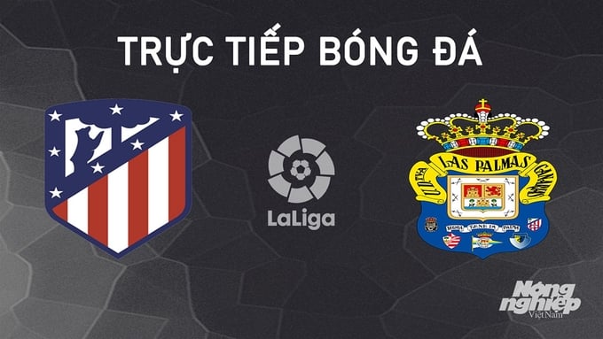 truc-tiep-bong-da-atletico-vs-las-palmas-3-11-163253_895.jpg Trực tiếp bóng đá La Liga 2024/25 giữa Atletico Madrid vs Las Palmas hôm nay 3/11/2024