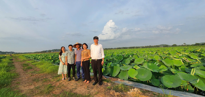z5981493642867_aa20b44a302827cc16b22f8250751afe-215229_822.jpg Hồ sen là một địa điểm hấp dẫn của làng So. Ảnh: Nhân vật cung cấp.