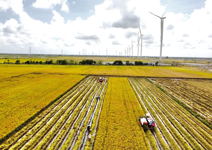 z6001818253376_e41e92f1f9dc83c9f629c1807d119a77-151349_478.jpg Ủy ban Thường vụ Quốc hội vừa ban hành Nghị quyết về việc sắp xếp đơn vị hành chính cấp xã của tỉnh Bạc Liêu giai đoạn 2023 - 2025. Ảnh: Trọng Linh.