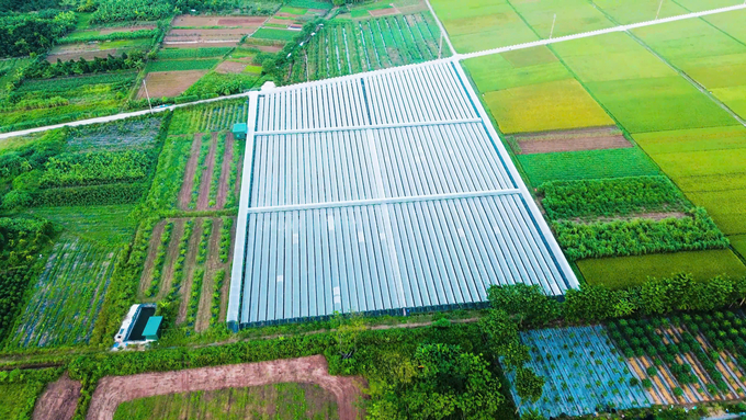 z5990330127139_21104c67815394619d1f3057dadfd140-224850_957.jpg Toàn cảnh nông trại nho của anh Vương Đắc Lộc ở xã Cộng Hòa, huyện Quốc Oai, TP Hà Nội.